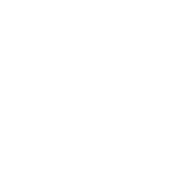 New Project (4) New Project (4)