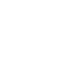 New Project (5) New Project (5)