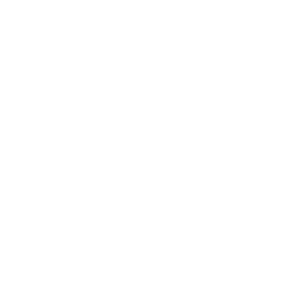 New Project (6) New Project (6)